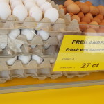 Freiland Eier von Eier-Aggi