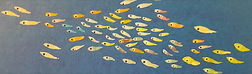„Lerne uns kennen: Die Fische“ von Lucia Scuderi