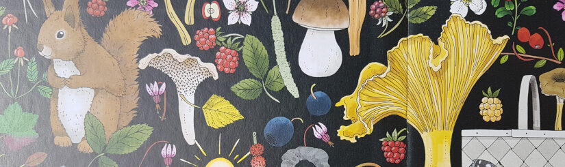 „Meine erste Naturkunde – Beeren und Pilze“ von Emma Jansson