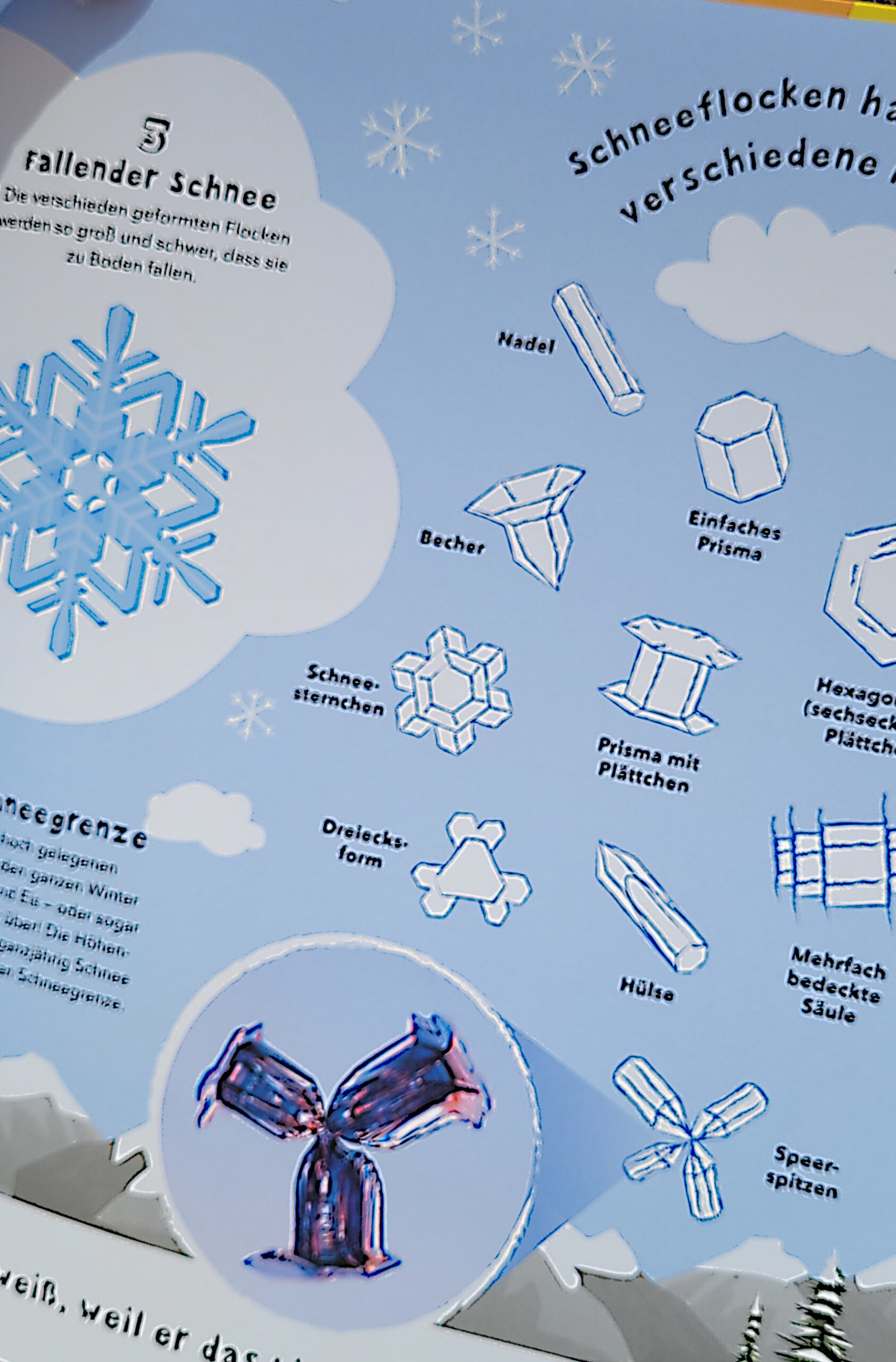 Ausschnitt einer Innenseite des Kindersachbuchs „So ein Wetter! Alles über Wetter, Klima und warum es auf der Erde immer wärmer wird“