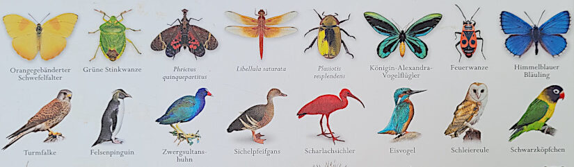 Ausschnitt der Rückseite des Naturlexikons „Die Natur in über 5000 Fotos: Die visuelle Enzyklopädie der Pflanzen, Tiere, Mineralien, Mikroorganismen und Pilze“