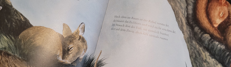 Ausschnitt einer Innenseite des Bilderbuches „So schlafen die Tiere“ von Maike Harel sowie Laura und Florian Fuchs