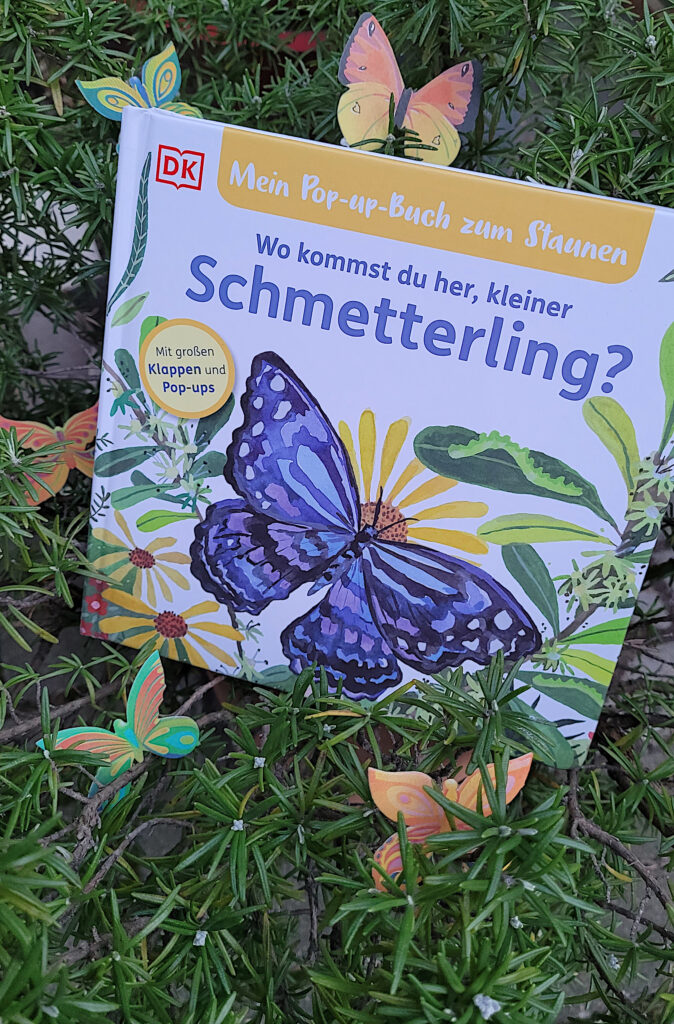 Das Pappbilderbuch „Mein Pop-up-Buch zum Staunen: Wo kommst du her, kleiner Schmetterling?“ inmitten von Rosmarin und Pappschmetterlingen