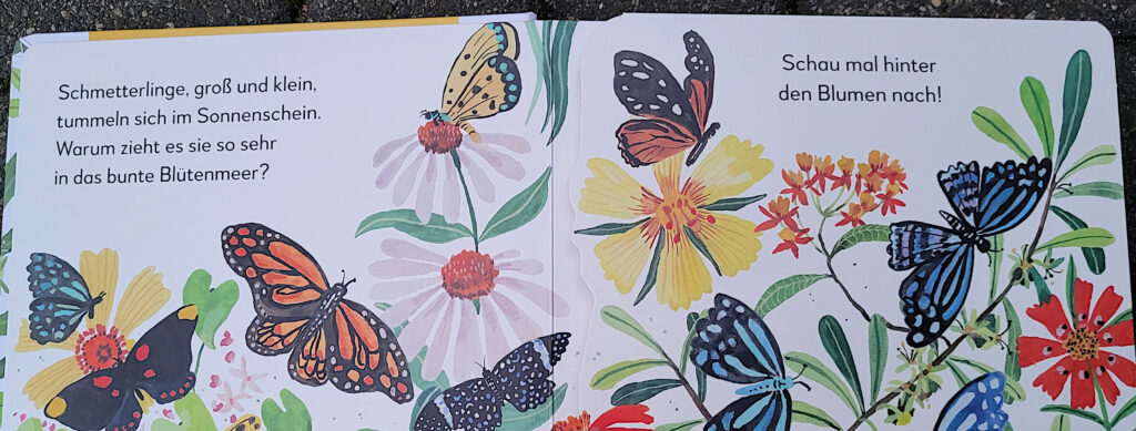 Ausschnitt einer Innenseite des Pappbilderbuchs „Mein Pop-up-Buch zum Staunen: Wo kommst du her, kleiner Schmetterling?“