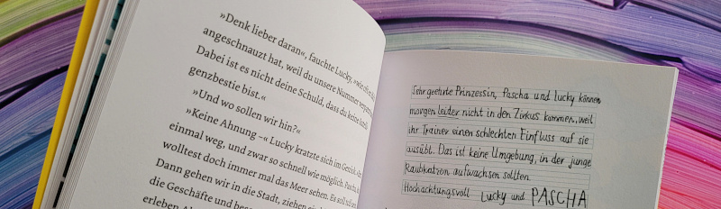 Ausschnitt einer Innenseite des Kinderbuchs „Ein Känguru wie du“ von Ulrich Hub