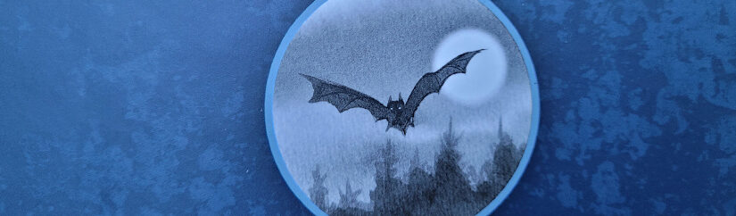 Ausschnitt der Rückseite des Kinderbuches „Fladder: Wie ich einer Fledermaus beibrachte, ein Vampir zu sein (obwohl ich mir eine Katze wünschte)“ von Stefanie Christ und Karin Widmer