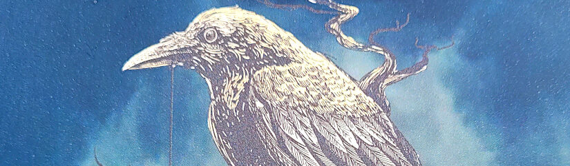 Ausschnitt des Buch-Covers des Fantasy-Romans „Die letzten Hexen von Blackbird Castle“ von Stefan Bachmann