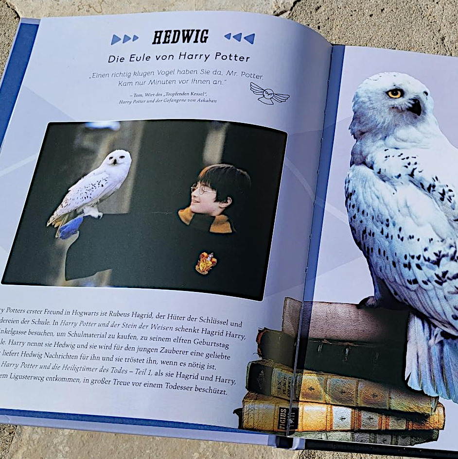 Ausschnitt einer Innenseite aus „Harry Potter: Buch mit 3D-Puzzle - Hedwig“