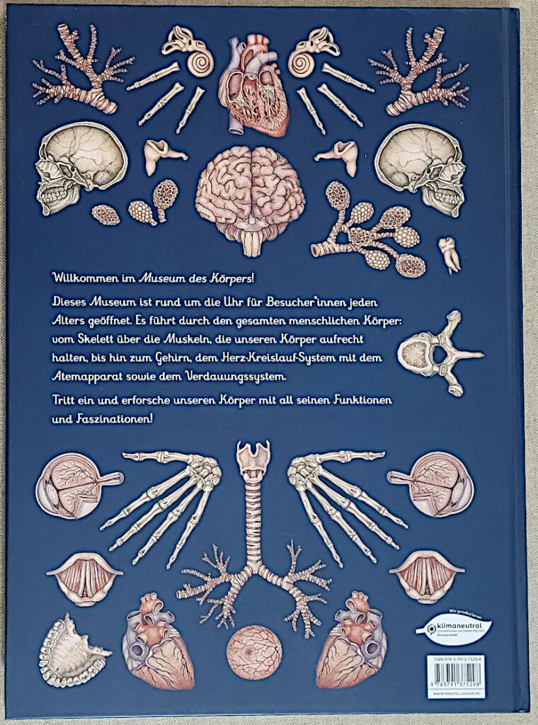 Rückseite des Sachbuches „Das Museum des Körpers: Eintritt frei!“ von Professor Dr. Jennifer Z. Paxton und Katy Wiedmann