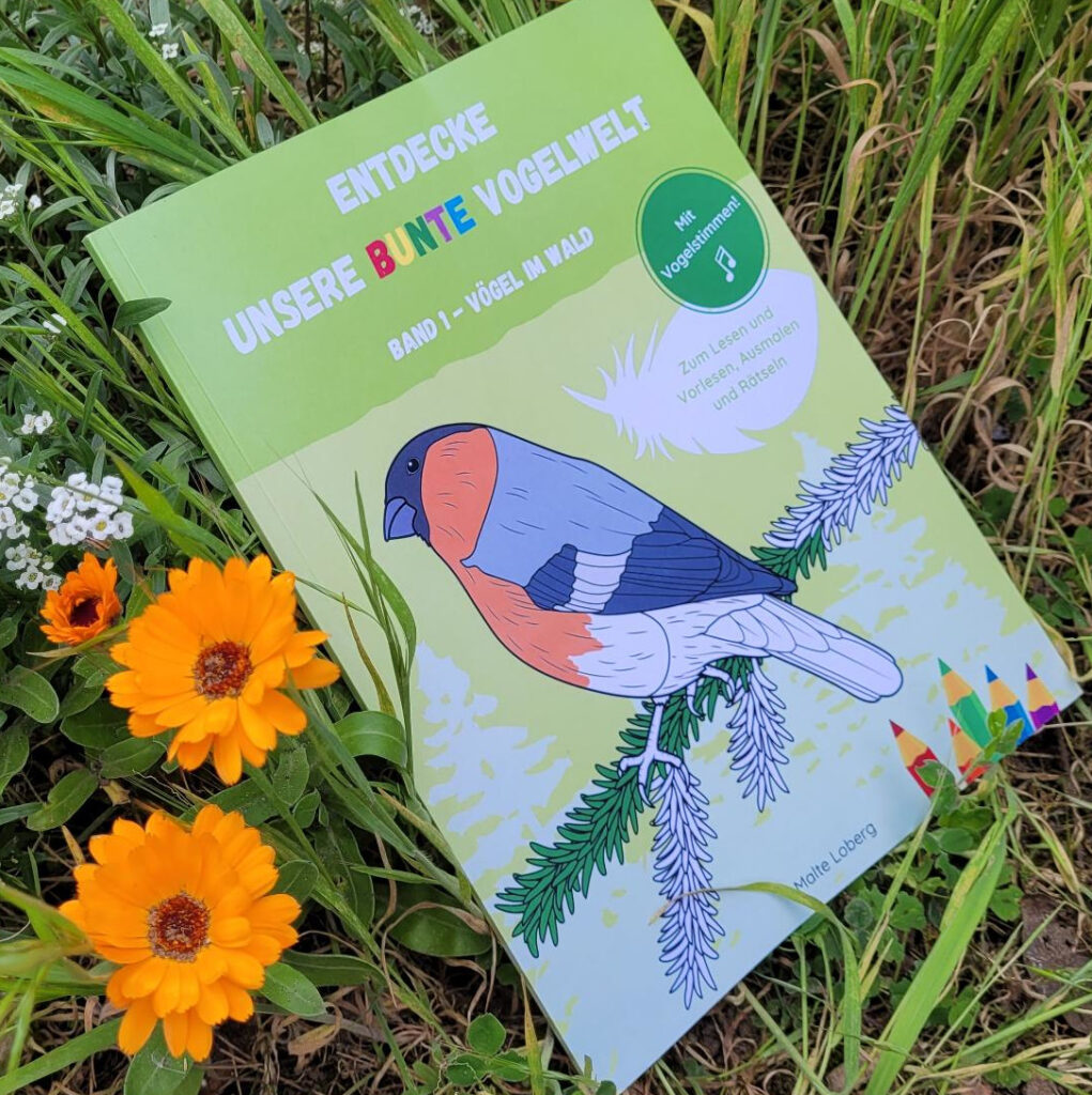 Das Sachbuch für Kinder "Vögel im Wald" von Malte Loberg in einer Wiese neben blühenden Ringelblumen liegend