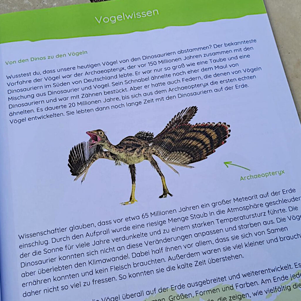 Ausschnitt einer Inneseite des Sachbuches "Vögel im Wald" von Malte Loberg
