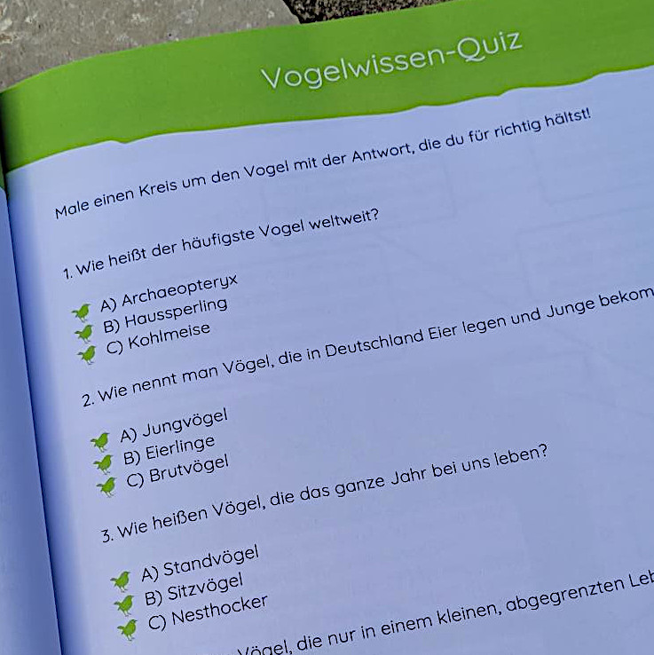 Ausschnitt einer Inneseite des Sachbuches "Vögel im Wald" von Malte Loberg