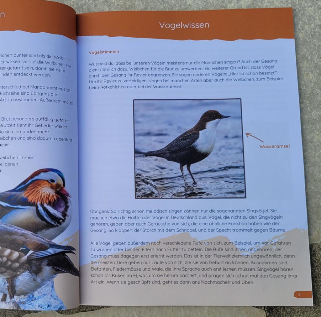 Ausschnitt einer Innenseite des Vogelbuches: "Vögel in Gärten, Parks und Städten" von Malte Loberg