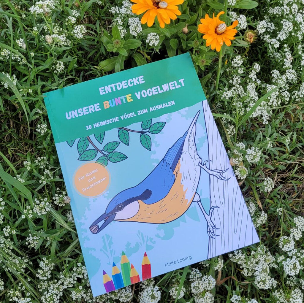 Das Malbuch „30 heimische Vögel zum Ausmalen“ von Malte Loberg liegt in blühendem Duftsteinrich