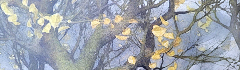 Ausschnitt der Rückseite des Bilderbuches „Herbsthundewetter“ von Andreas und Dirk Steinhöfel