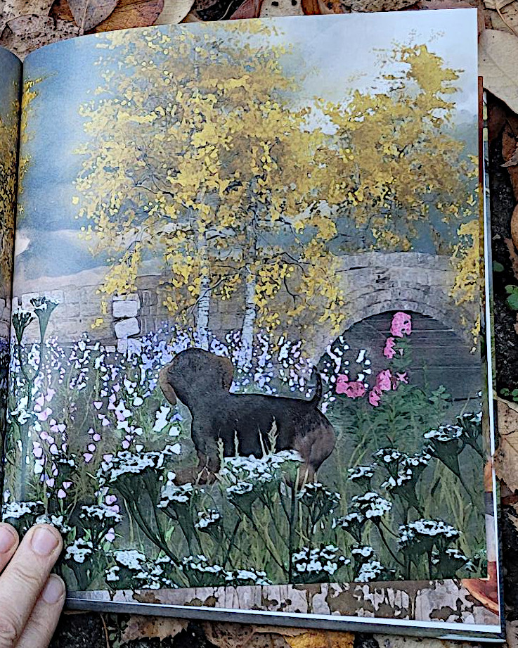 Ausschnitt einer Innenseite des Kinderbuches „Herbsthundewetter“ von Andreas und Dirk Steinhöfel