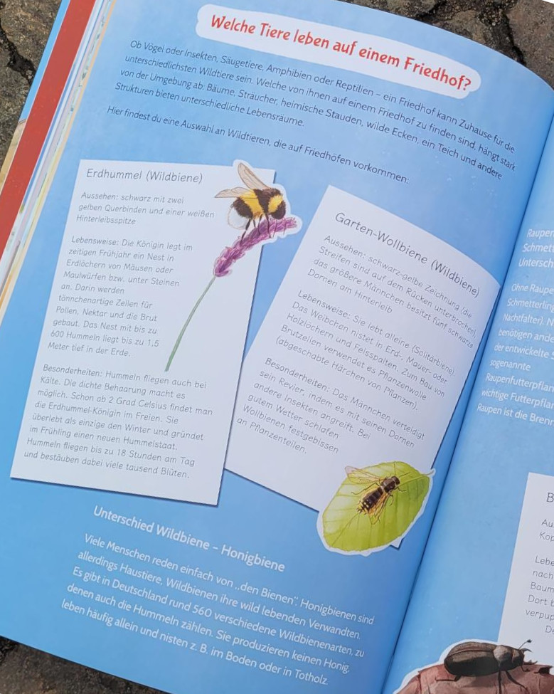 Ausschnitt einer Innenseite des Bilderbuches „Im Leben nicht! Ein Naturgrab für Opa“ von Susanne Maria Emka und Lisa Rammensee